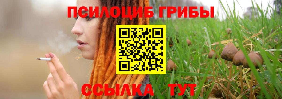 Псилоцибиновые грибы Cubensis  хочу   Усть-Джегута  Галлюциногенные грибы Cubensis  Вход с VPN 